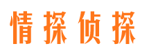 怀宁捉小三公司